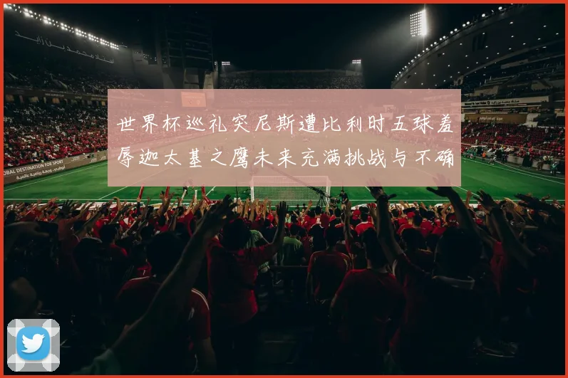 世界杯巡礼突尼斯遭比利时五球羞辱迦太基之鹰未来充满挑战与不确定性