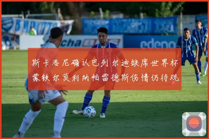 斯卡洛尼确认巴列尔迪缺席世界杯蒙铁尔莫利纳帕雷德斯伤情仍待观察
