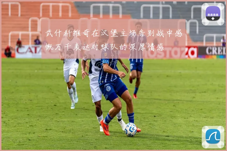 武什科维奇在汉堡主场告别战中感慨万千表达对球队的深厚情感